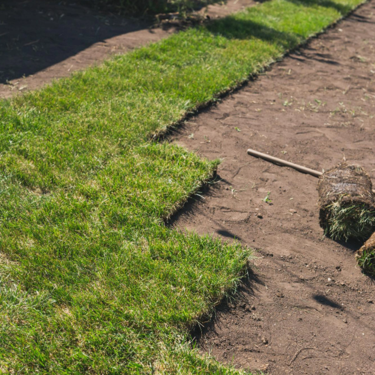 Synthetic grass landscape designed for a Dallas property