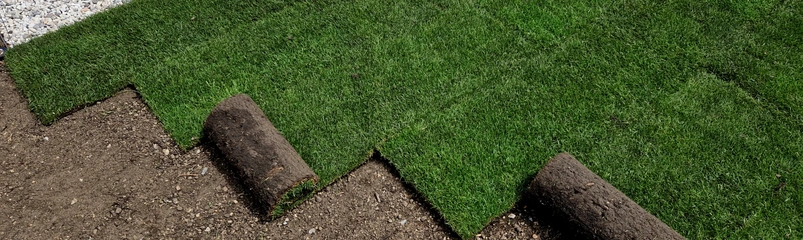 Professional artificial turf installation in Dallas